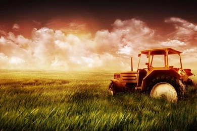 Farm Field Wallpapers   653611
