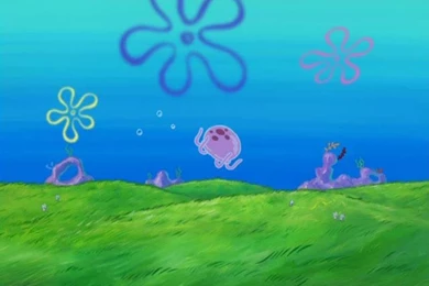 Photoshop Portfolio Project