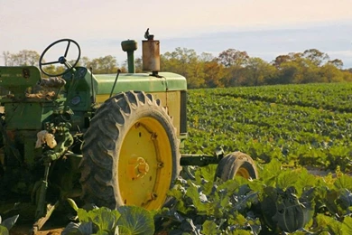 Farm Tractor Wallpaper, Wallpaper, Farm Tractor Wallpapers Hd ...