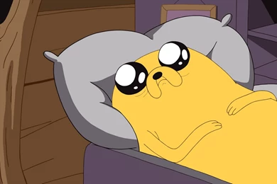 A Momma Cheetah And Her Cub. : Aww