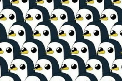 Adventure, Adventuretime, Background, Cute, Cuye, Funny, Penguin ...