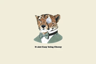 It Ain't Easy Being Cheesy Wallpapers   Funny Wallpapers