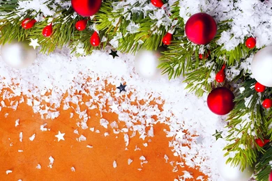 Christmas Backgrounds   1646953