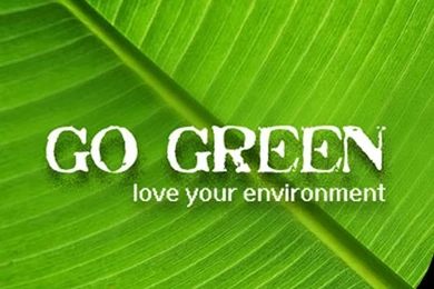 World Environment Day Go Green Wallpapers   HD Widescreen Wallpapers