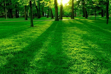 Earth Day Wallpapers Go Green