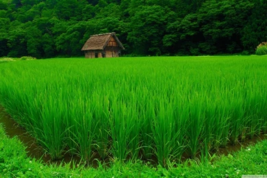 Shirakawa go HD Desktop Wallpapers : Widescreen : High Definition ...