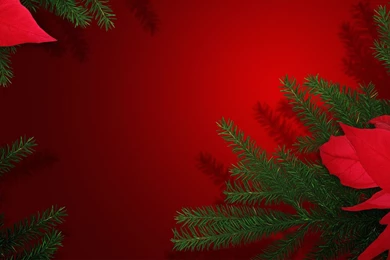 Christmas background 100259.jpg
