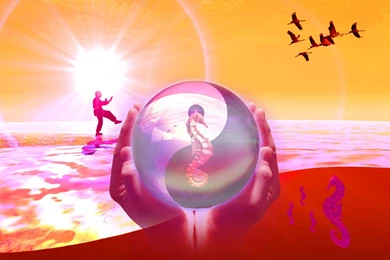 Wallpapers Cornwall Lee Style Taoist Arts Seahorse 1920x1080 ...