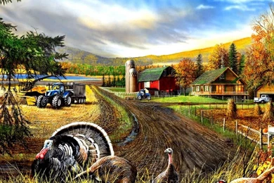 Farms: FARM LIVING BARN LAND BIRDS GARDEN TRACTOR TURKEY Life HD ...