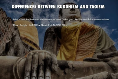 Beliefs By Kasia Piercy