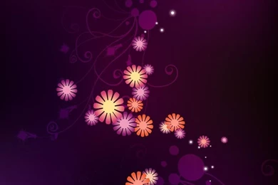 Cute Daisy Flower Abstract Mobile HD Wallpapers   Http ...