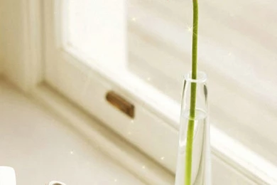 1080x1920 Beautiful Cute Flower Wallpapers HD