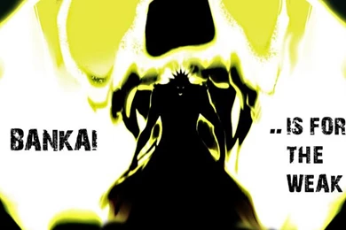 KENPACHI ZARAKI WALLPAPER   (