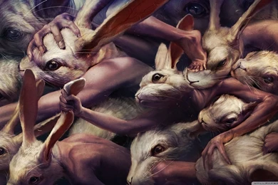 Creepy Rabbits Artwork HD Desktop Wallpapers : Widescreen : High ...