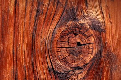 Wood Knot HD Drop dead Gorgeous Wallpapers Free HD Wallpapers ...