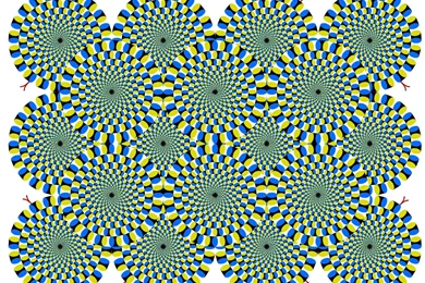 Optical Illusions... Challenge For You All   My Free Wallpapers Hub