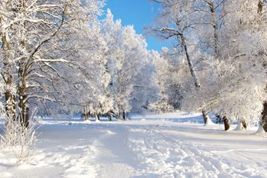 Download Free High Definition Winter Wallpapers