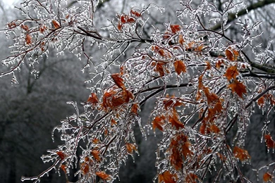 Winter Computer Wallpapers, Desktop Backgrounds