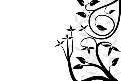 Black And White Background Images   Wallpapers HD Base