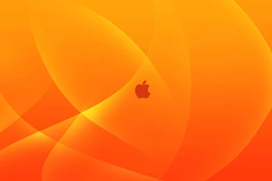 Orange Apple Logo Wallpapers Designer Wallpapers
