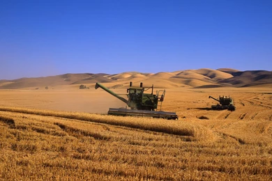 Agriculture Combine Harvester Farming Fields Multiscreen Wallpapers ...