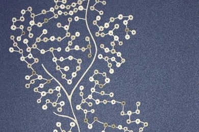 Sparkle Coral Blue Vinyl Wallpapers