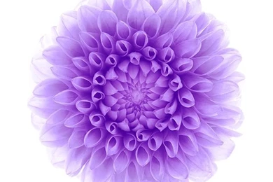 Download Wallpaper: Http://goo.gl/hCh3ce Ac95 wallpaper apple ...