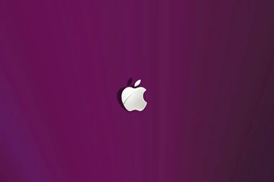 Apple Purple Best Quality Wallpapers 3364 Amazing Wallpaperz
