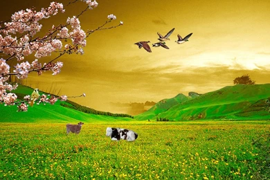 Farming Wallpapers >> Backgrounds With Quality HD