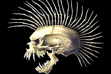 Wallpapers De Caveiras (HD) Rock Hits