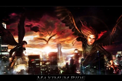 Maximum Ride Favourites By Slightlysane31 On DeviantArt