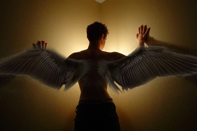 Maximum Ride Fans's DeviantArt Gallery