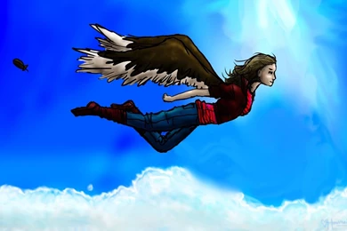 DeviantArt: More Like Maximum Ride Album By Jellybean66