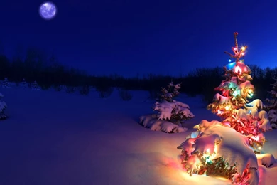 Snowy Christmas Backgrounds Wallpapers Cave