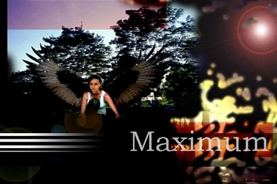 Maximum   Maximum Ride Photo (927609)   Fanpop