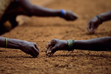 Planting Crops Picture, Farming Wallpaper, Download, Photos ...