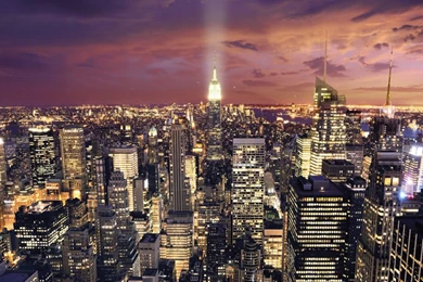 Office Wall Mural.jpg