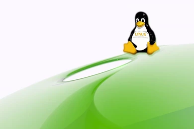 Green Linux Wallpapers And Images   Wallpapers, Pictures, Photos