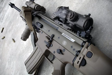 Manik24   CEVO Member