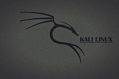1366x768 Kali Linux Desktop PC And Mac Wallpapers