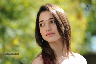 Tamanna Hot Photos Tamanna Hot Photos Photos Gallery Tamanna