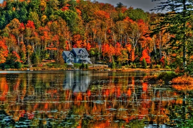 344 Reflection HD Wallpapers