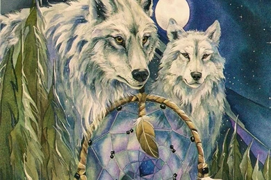 Mystical Wolves Animals Native American Dogs Desktop Wallpapers ...