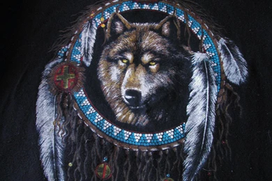 Native American Wolf   Image