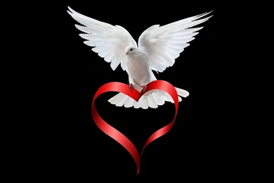 Best Wallpapers For Mobile Phones Download (5)   Pleasantwalls.com ...