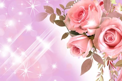 Roses So Fine >> HD Wallpaper, Get It Now!