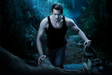 Famous TV Show Wallpapers