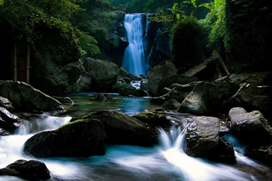 Wallpapers Hd Free Download For Mobile   Wallpapers HD Fine