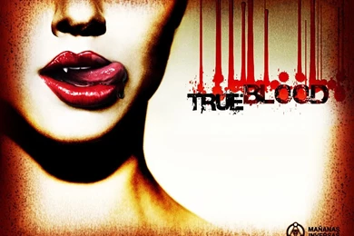 True Blood eric northman 2914537 1024 768.jpg