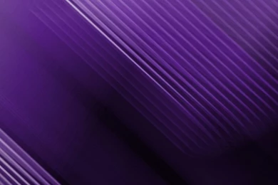 BEST PURPLE WALLPAPER WF1008